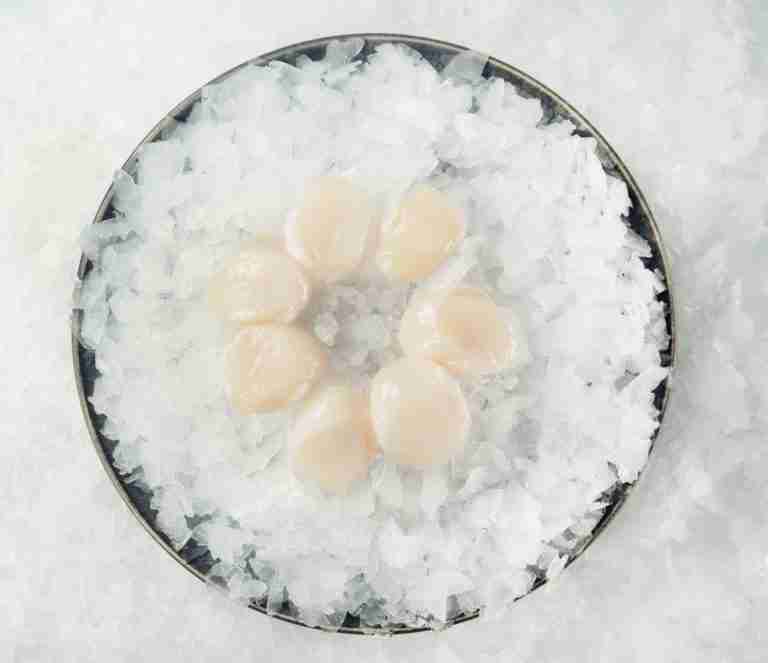 Scallops Sashimi