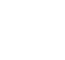 Express Delivery Icon