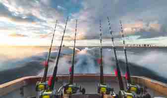 Fishing Rods in the Ocean