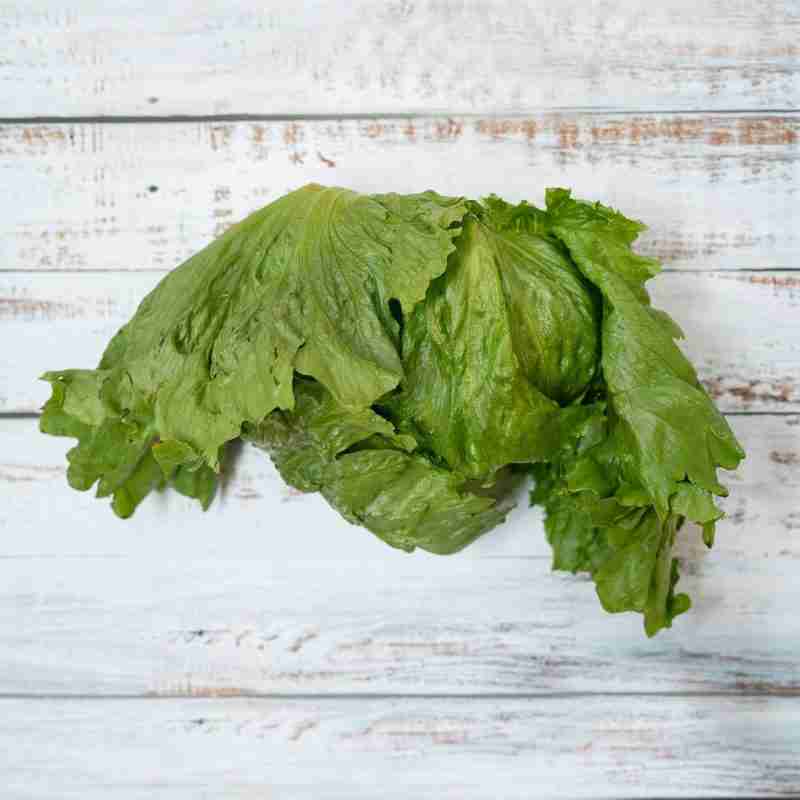 Image of Lettuce