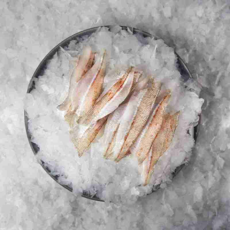 Whiting Fillets