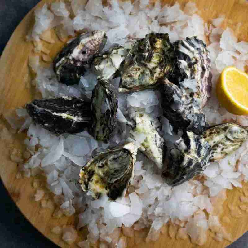 Oysters Pacific