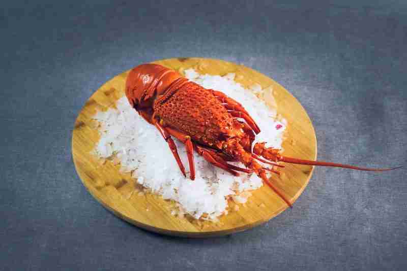 Cooked Eastern Rock Lobster