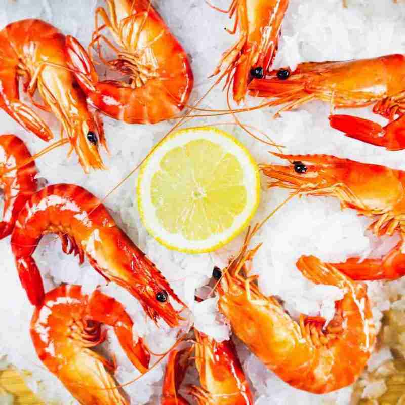 Jumbo Cooked Tiger Prawns