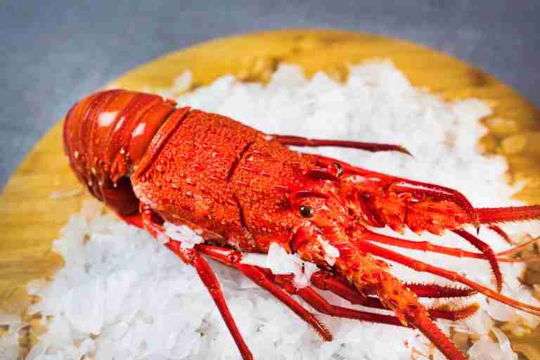 Cooked Western Rock Lobster