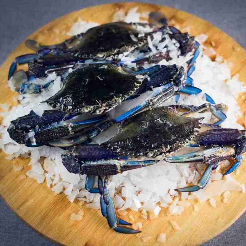 Raw Blue Swimmer Crab