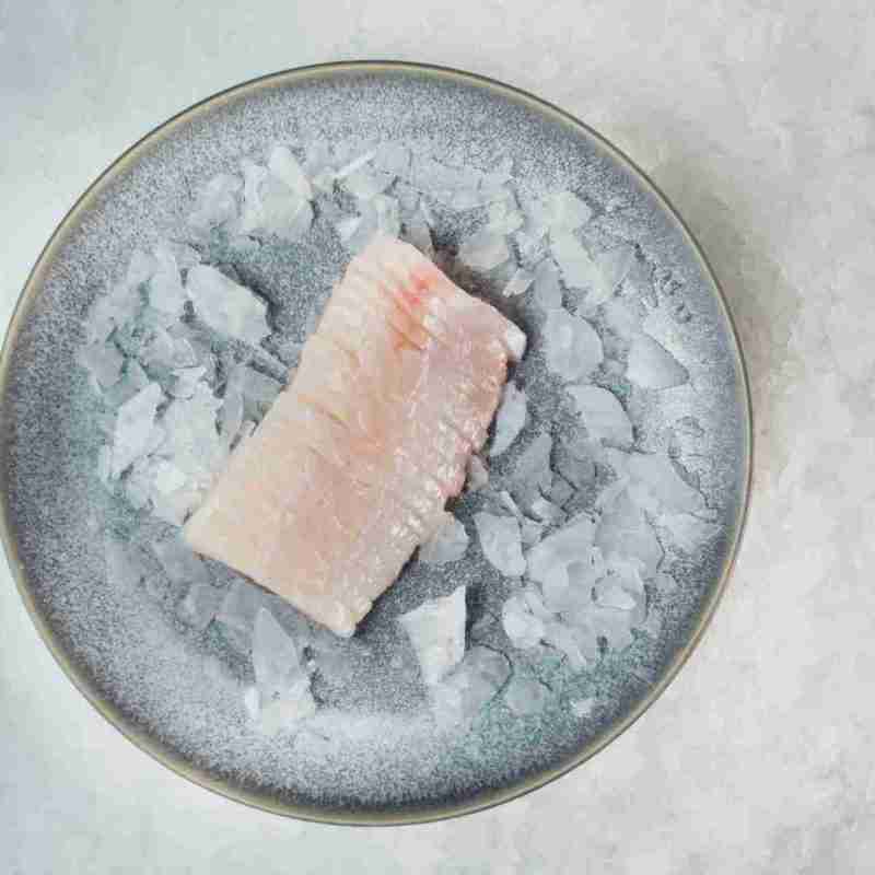 Snapper Sashimi