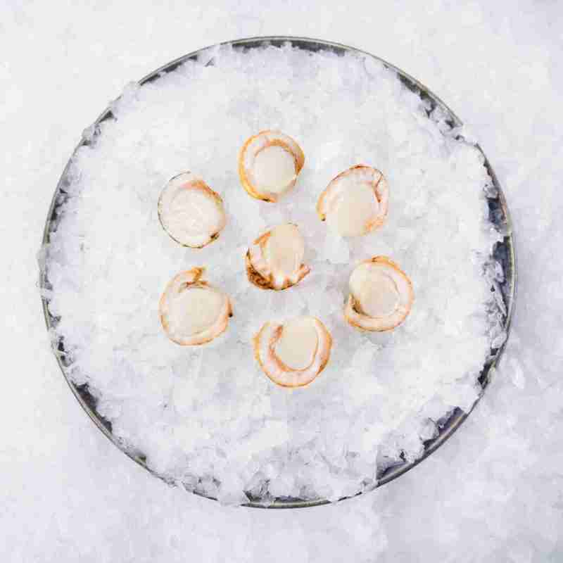 Steamed Baby Scallops