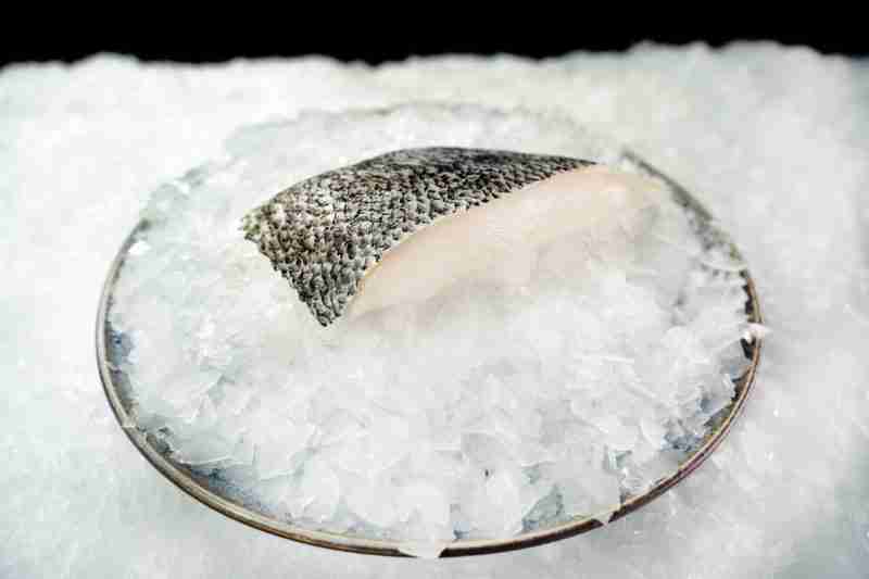 Toothfish Fillet