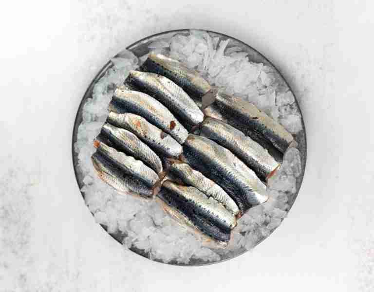 Sardine Fillets